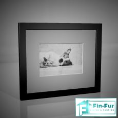 Wall Frames