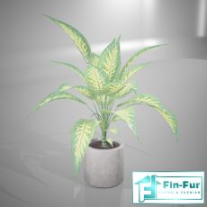 Floor Plants